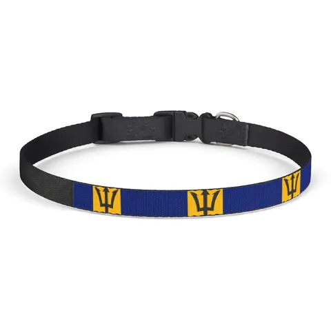 Barbados Blue Gold Trident Clip-on Pet Collar — front view