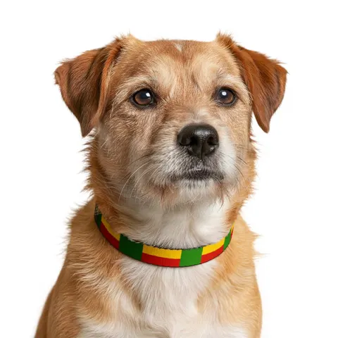 Benin Green Yellow Red Block Clip-on Pet Collar — other view