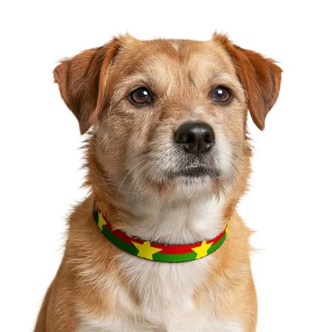 Burkina Faso Red Green Star Clip-on Pet Collar — other view