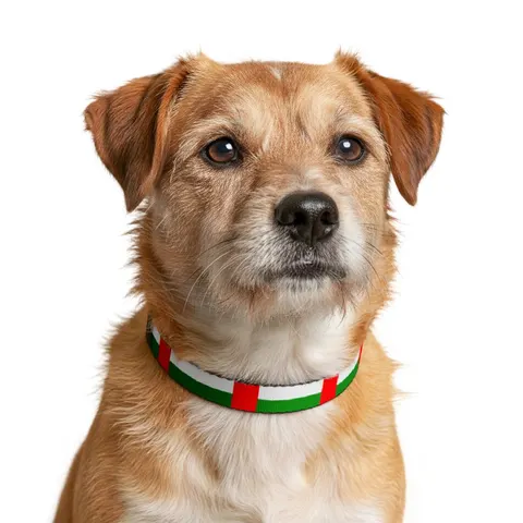 Central African Republic Stripes & Red Cross Clip-on Pet Collar — other view