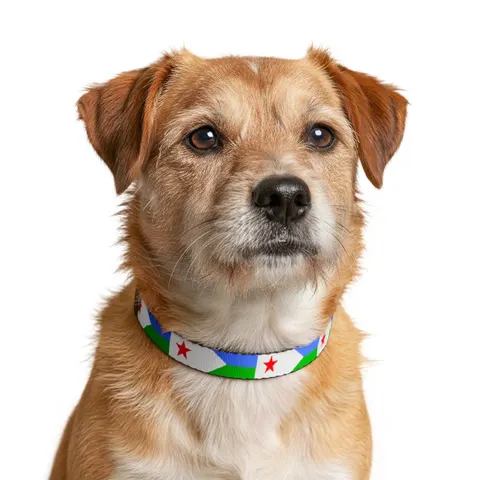Djibouti Blue Green Triangle Clip-on Pet Collar — other view