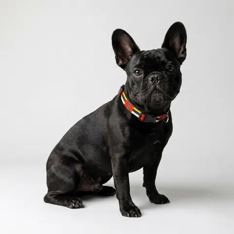Dominica Green Cross & Circle Clip-on Pet Collar
