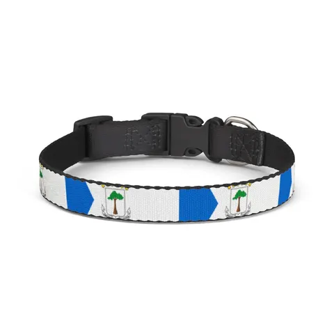 Equatorial Guinea Tricolor & Triangle Clip-on Pet Collar — front view