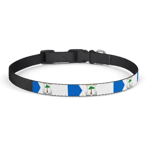Equatorial Guinea Tricolor & Triangle Clip-on Pet Collar — front view