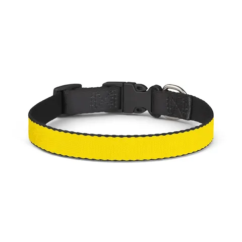 Gabon Green Yellow Blue Clip-on Pet Collar — front view