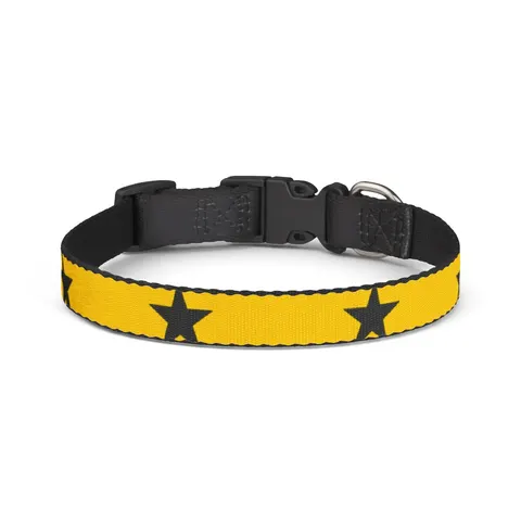 Ghana Red Gold Green & Star Clip-on Pet Collar — front view