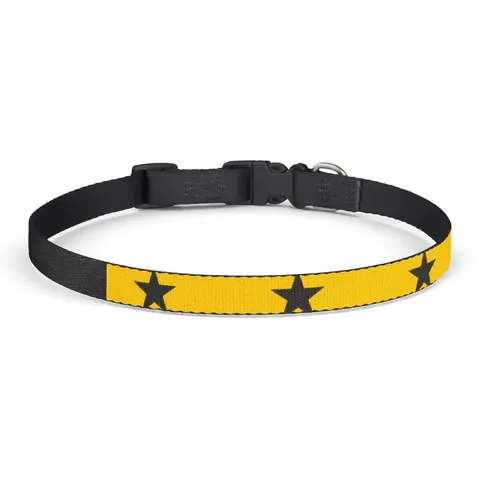 Ghana Red Gold Green & Star Clip-on Pet Collar — front view