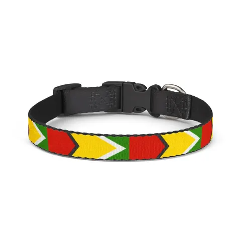 Guyana Arrowhead Design Clip-on Pet Collar — front view