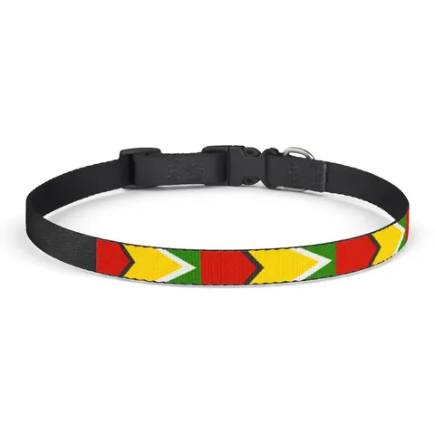 Guyana Arrowhead Design Clip-on Pet Collar — front view