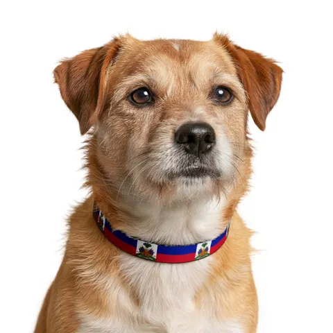 Haiti Blue Red Banner Clip-on Pet Collar — other view