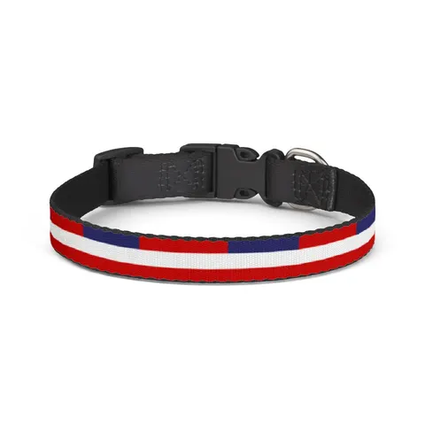 Liberia Stripes & Single Star Clip-on Pet Collar — front view