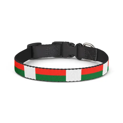Madagascar White Red Green Clip-on Pet Collar — front view