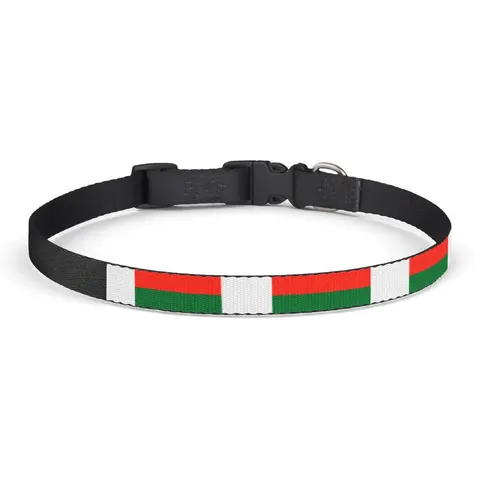 Madagascar White Red Green Clip-on Pet Collar — front view