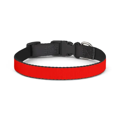 Malawi Rising Sun Clip-on Pet Collar — front view
