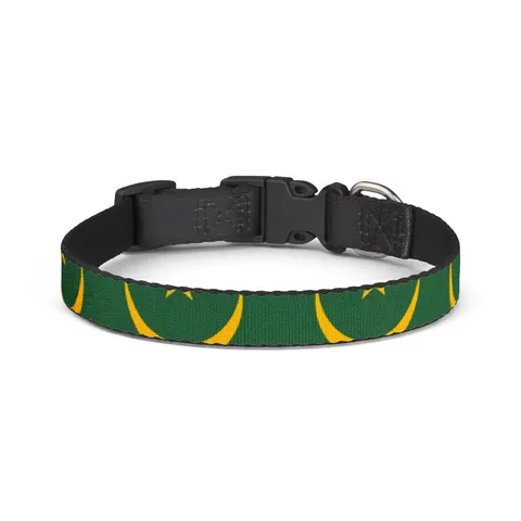 Mauritania Green Gold Crescent Clip-on Pet Collar — front view