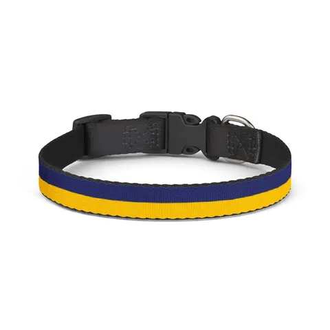 Mauritius Color Bands Clip-on Pet Collar — front view