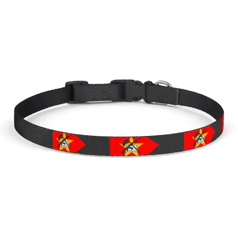 Mozambique Green Black Yellow Clip-on Pet Collar — front view