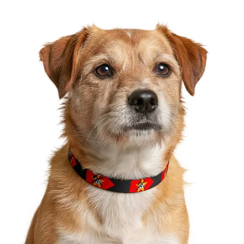 Mozambique Green Black Yellow Clip-on Pet Collar — other view