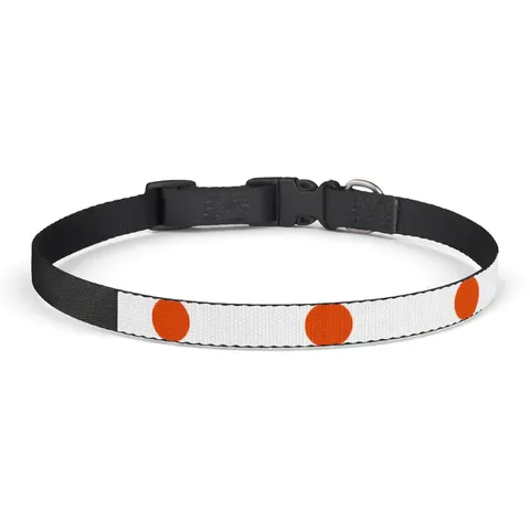 Niger Orange White Green Circle Clip-on Pet Collar — front view