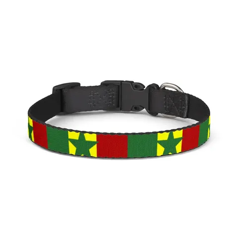 Senegal Green Yellow Red Clip-on Pet Collar — front view