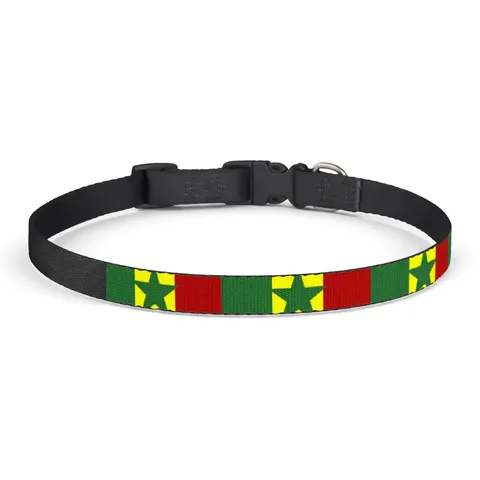 Senegal Green Yellow Red Clip-on Pet Collar — front view