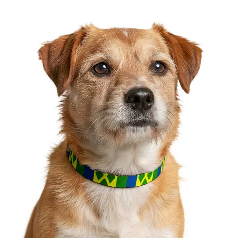 St. Vincent & Grenadines Diamonds Clip-on Pet Collar — other view