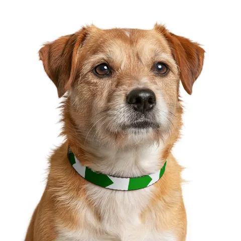 Sudan Red White Black Triangle Clip-on Pet Collar — other view