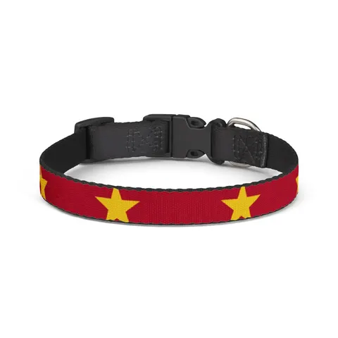 Suriname Red Green White Star Clip-on Pet Collar — front view