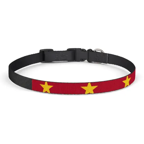 Suriname Red Green White Star Clip-on Pet Collar — front view
