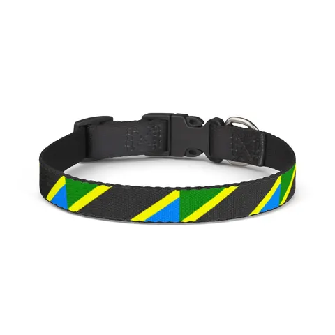 Tanzania Diagonal Bands Clip-on Pet Collar — front view