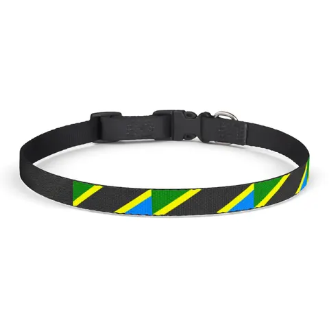 Tanzania Diagonal Bands Clip-on Pet Collar — front view
