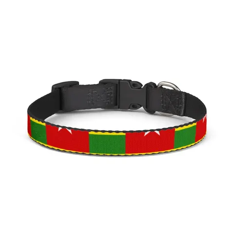 Togo Green Yellow Stripes Clip-on Pet Collar — front view
