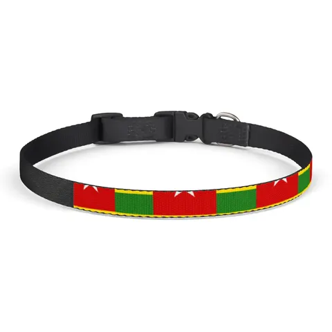 Togo Green Yellow Stripes Clip-on Pet Collar — front view