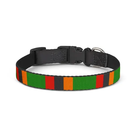 Zambia Green Field & Orange Eagle Clip-on Pet Collar — front view