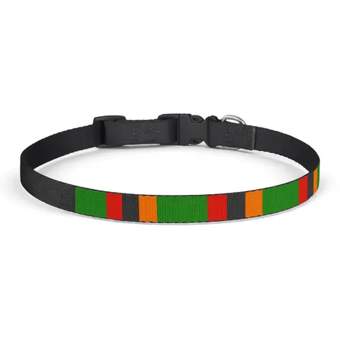 Zambia Green Field & Orange Eagle Clip-on Pet Collar — front view