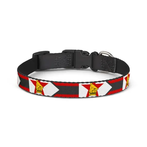 Zimbabwe Stripes & Triangle Clip-on Pet Collar — front view