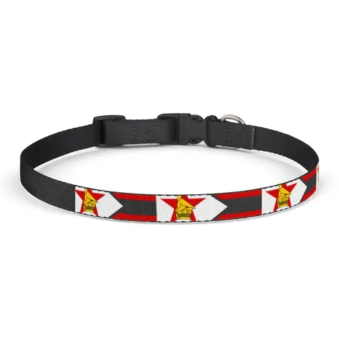 Zimbabwe Stripes & Triangle Clip-on Pet Collar — front view