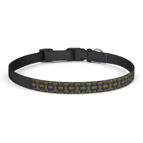 Fort Valley State 1895 Blue & Gold Clip-on Pet Collar — front view