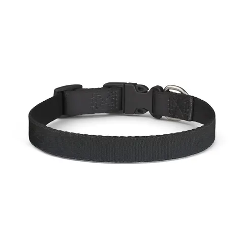 New Year Midnight Sparkle Gradient Clip-on Pet Collar — front view