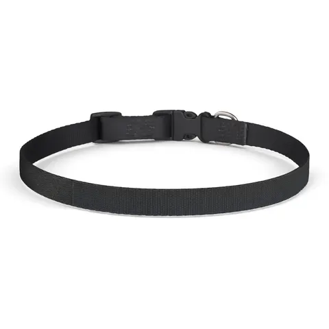 New Year Midnight Sparkle Gradient Clip-on Pet Collar — front view