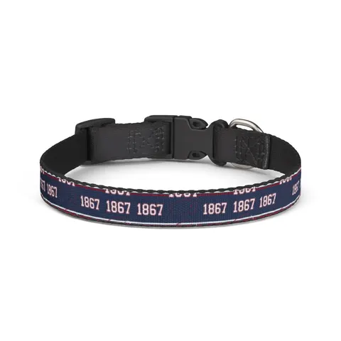Howard 1867 Navy & Crimson Clip-on Pet Collar — front view