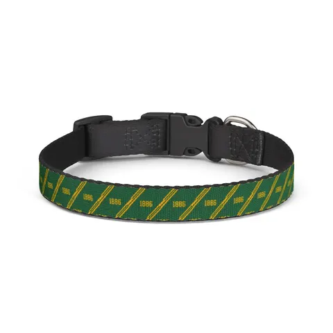Kentucky State 1886 Green & Gold Clip-on Pet Collar — front view