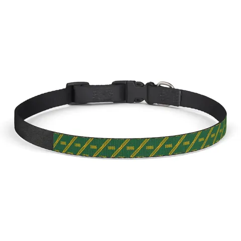 Kentucky State 1886 Green & Gold Clip-on Pet Collar — front view