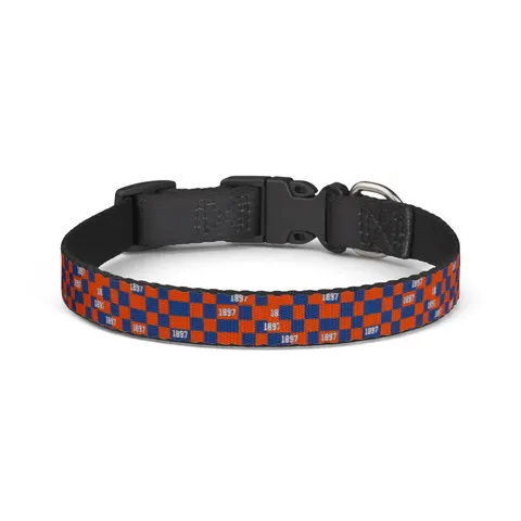 Langston 1897 Orange & Blue Clip-on Pet Collar — front view
