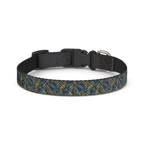 Lincoln (MO) 1866 Blue & Gold Clip-on Pet Collar — front view