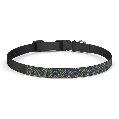 Lincoln (MO) 1866 Blue & Gold Clip-on Pet Collar — front view