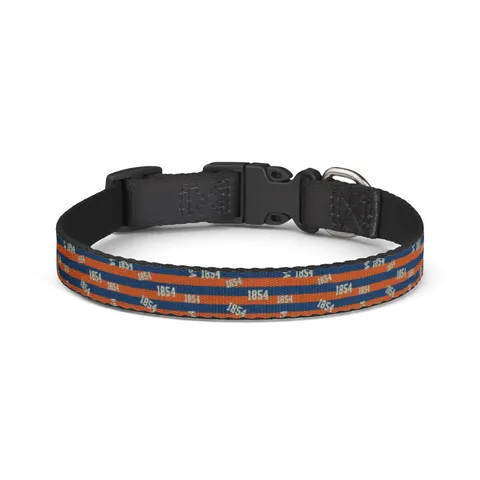 Lincoln (PA) 1854 Blue & Orange Clip-on Pet Collar — front view