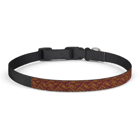 Morehouse 1867 Maroon & Gold Classic Clip-on Pet Collar — front view
