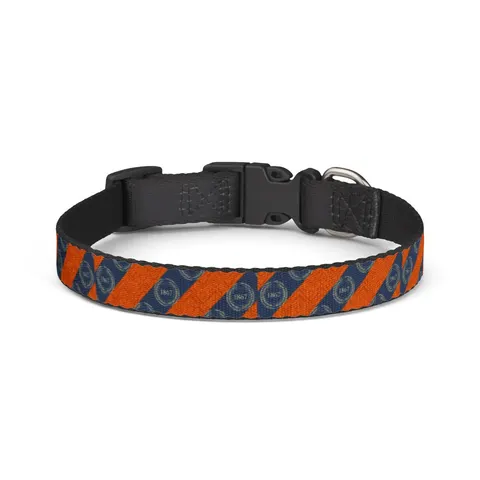 Morgan State 1867 Orange & Royal Clip-on Pet Collar — front view