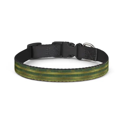 Norfolk State 1935 Green & Gold Clip-on Pet Collar — front view